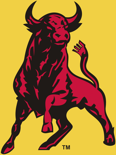 Belleville Bulls 1981-2008 alternate logo iron on heat transfer